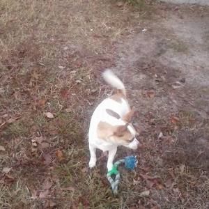 Meet your Posher, Scott